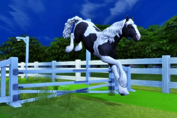 Horse Ranch（21）