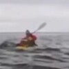 24歳男性がザトウクジラに飲み込まれた衝撃の一部始終！生還できた理由