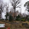 2020/01/07 豪徳寺散歩 02 世田谷城址公園/稲荷下橋/豪徳寺稲荷下橋公園/松本水車跡/世田谷保健所/くぬぎ公園（庚申塔）