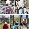 さよなら3月、ようこそ4月🌷🌸