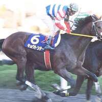 地方競馬関連