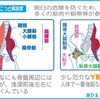 Ｙ靭帯について知ろう❗️