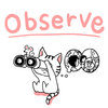 Observe