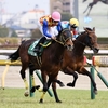 競馬初心者必見☆馬券予想🔥〜ダイヤモンドS〜春の大舞台に向けた大事な一戦！