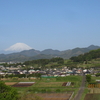 秦野　転　天気　　　　　　最高気温19度　☀晴れ