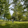 暑いから、朝のうちに公園へ