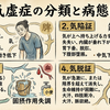 深い理解には人体の構造理解と機能および作用の理解が組み合わされるとよい。﻿