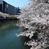 【2024年4月15日（月）から4月21日（日）のメッセージ】