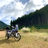 秋を探して…