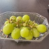 金曜　保田へ移動