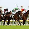 競馬初心者必見☆馬券予想🔥〜日本ダービー〜悲願のダービージョッキーへ‼️