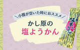 かし原の塩ようかん｜熱中症対策や備蓄品におススメの和菓子