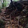 日和田山の登山道が荒れてきた