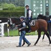 【一口馬主／ベイステート】心強いことばに勇気づけられる