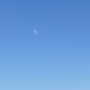 フリースタイルライセンス