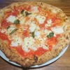 【タルタルーガ】本気で美味しいピザに特化した本格ピッツェリア🍕