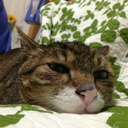 キャリアの下克上を狙う方々へ