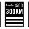 今年も挑戦！Festive500