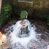 諏訪神社・諏訪水源・ぶつぶつさんの湧水