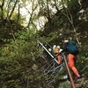 寒露に入る加持ヶ峰遊山　紅葉晴