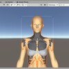 MRTK StandardShaderの機能を用いてHoloLens 2で人体模型を作る　後編