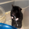 顔パンパン！苦しくないんか？💦