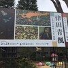 練馬区立美術館へ『津田青楓展』を見にいく（3月7日）。