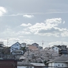 満開
