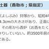 ちば遺産-19-良文貝塚の香炉型顔面付土器 2010/6/19