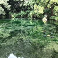 出流原弁天池。