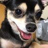 まろにー3333日目