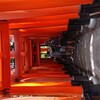 話題の京都伏見稲荷神社                                        