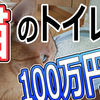 猫のトイレ ひとつ100万円!? 猫初心者に贈る飼育のヒント