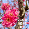 2023年2月5日初午