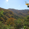 赤兎山紅葉