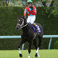 なんj競馬 ディープボンド凱旋門賞は欧州ジョッキー騎乗 前田代表 和田君には承諾もらってます