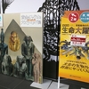 愛媛県美術館：「黄金のファラオと大ピラミッド展」と「特別展　生命大躍進」