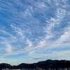 今日はステイホーム
