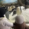 夏は白浜から！2年ぶりのパンダ旅はくろしおで(その1)(646)