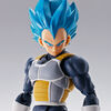 【プレミアムバンダイ】S.H.Figuarts スーパーサイヤ人ゴッドスーパーサイヤ人ベジータ-超- -S.H.Figuarts 15th anniversary Ver.- 