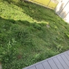 【DIY】庭の芝→雑草への生まれ変わり→草刈