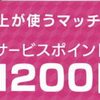 【永山】ル・ジャルダン・ブルー-タルトショコラマカダミア