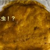 赤ちゃんのウンチに赤黒い糸くずが…寄生虫か！？