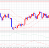 NZドル　ＦＸ　21/6/19現状確認