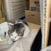 クロちゃん、すっかり元気になりました！