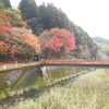 熊本日記　・　帰り道