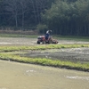 田植え