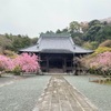 鎌倉日和 妙本寺　