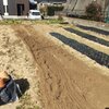 牛糞と鶏糞って耕すならどっちが多い方がいい？