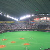 プロ野球を見てきた